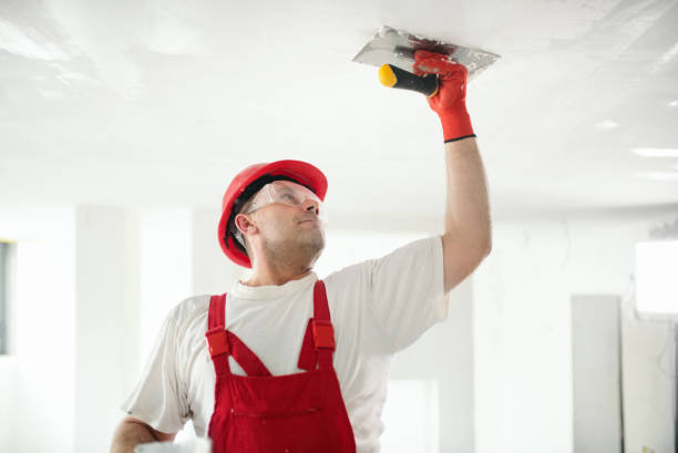 Best Exterior Painting  in Danvers, IL